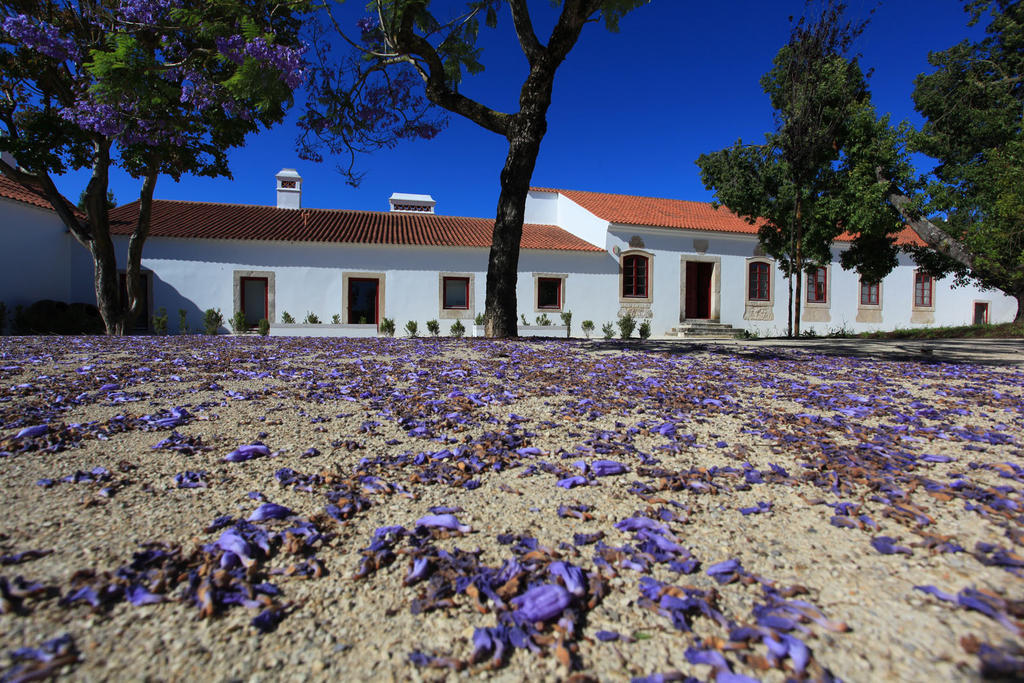 Hotel Quinta Da Lapa à Manique do Intendente Extérieur photo